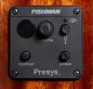 Preview: Breedlove Discovery S Concert Nylon